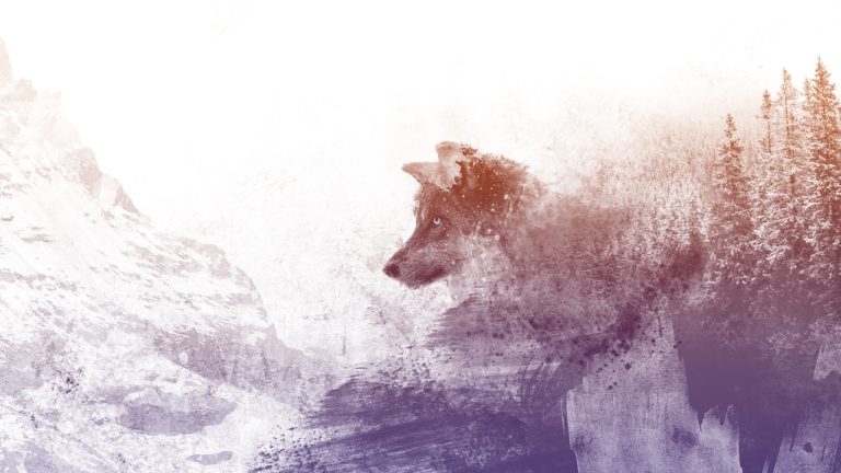 Welchen Wolf fütterst du?