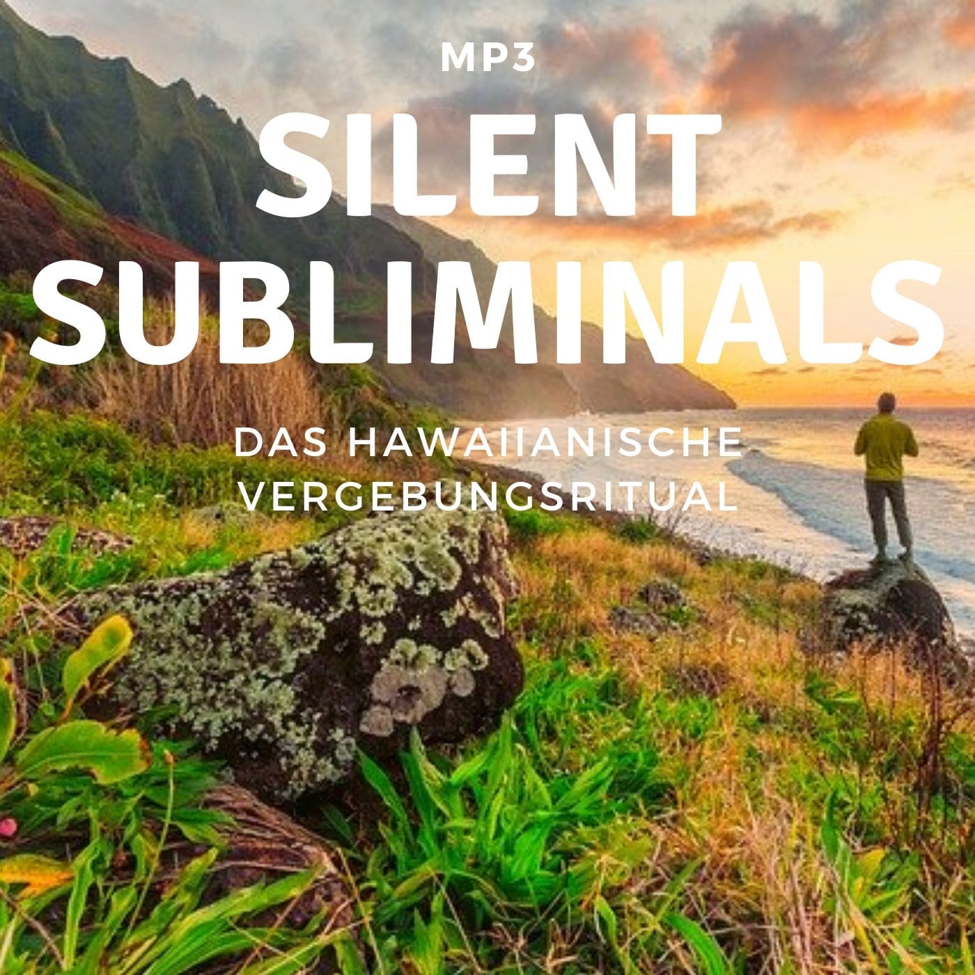 Cover: Silent Subliminals - Sonderedition